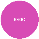BROCCOLIF3B