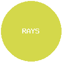 RAYSOL